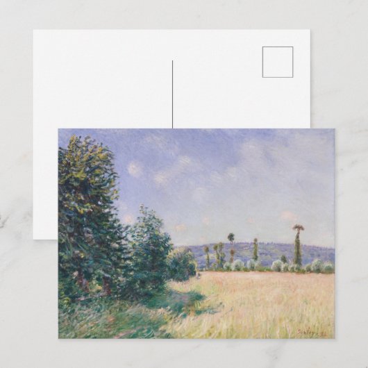 Sahurs Meadows in Morning Sun Briefkaart (Voorkant / Achterkant)