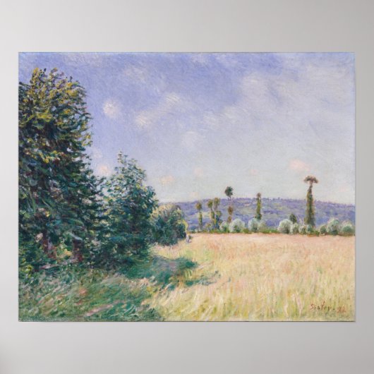Sahurs Meadows in Morning Sun Poster (Voorkant)