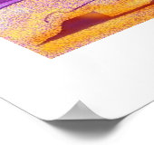 Saiboot Poster (Hoek)