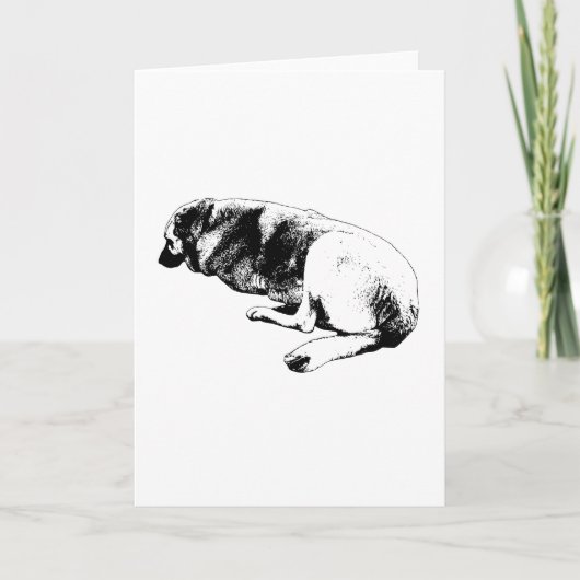 Said Without Words Kaart (Voorkant)