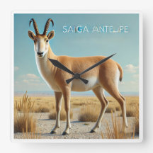 Saiga antilope in de woestijn