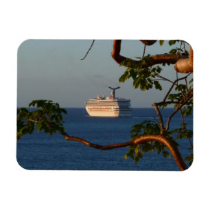 Sail Away op Sunset I Cruise Vacation Magneet