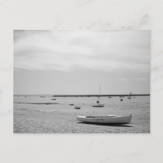 Sail Boat op Provincetown-strand Briefkaart (Voorkant)