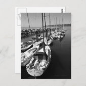 Sail Boats Black en White Briefkaart (Voorkant / Achterkant)