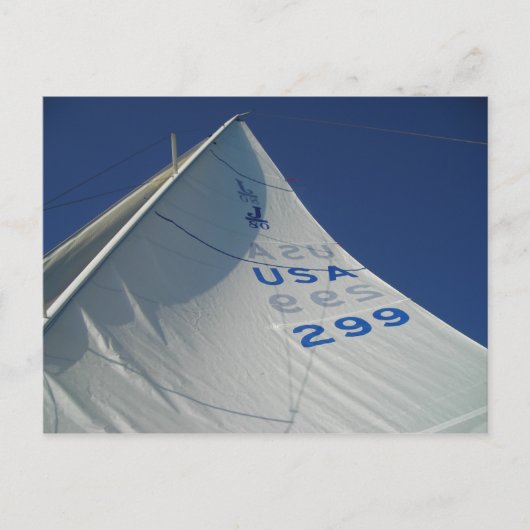 Sail Briefkaart (Voorkant)