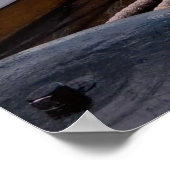 Sail Ship Poster (Hoek)