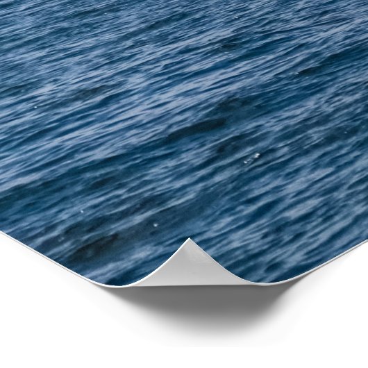 Sail Way! Poster (Hoek)