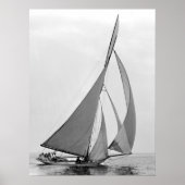 Sailboat Hawk 1891 Poster (Voorkant)
