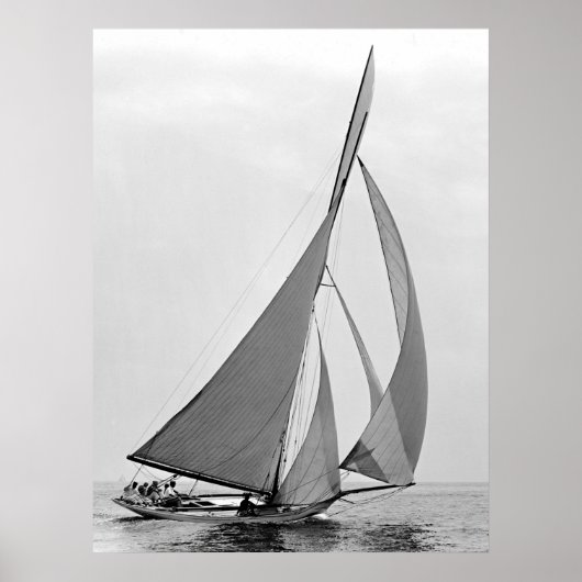 Sailboat Hawk 1891 Poster (Voorkant)