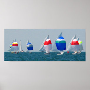Sailboat races poster