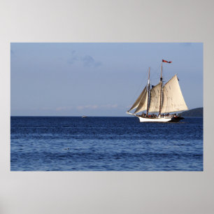 Sailboot Lake Michigan Poster