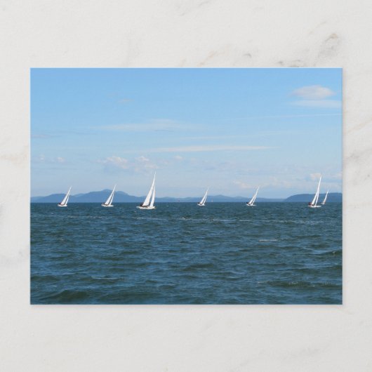 Sailboot Races Briefkaart (Voorkant)