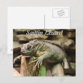 Sailfin Lizard Briefkaart (Voorkant / Achterkant)