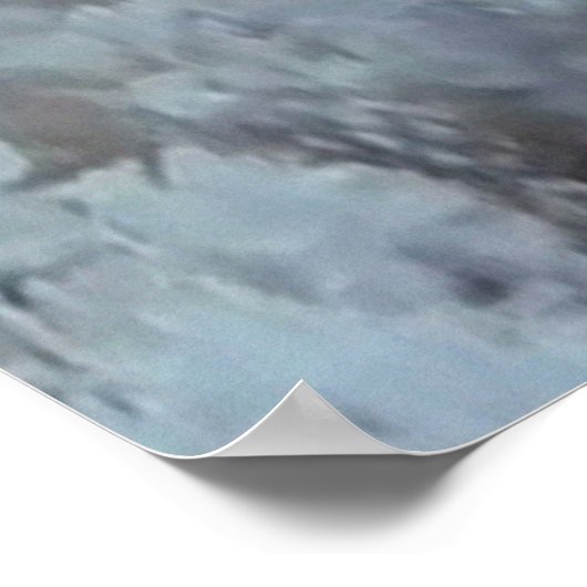 Sailfin Tang Poster (Hoek)