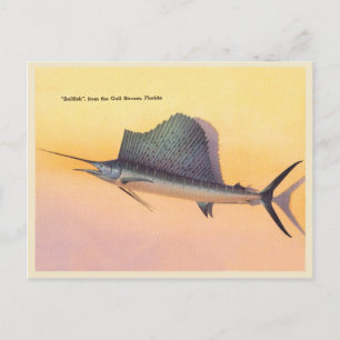 Sailfish afbeelding, Golfstroom Florida Briefkaart