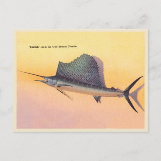  Sailfish afbeelding, Golfstroom Florida Briefkaart (Voorkant)