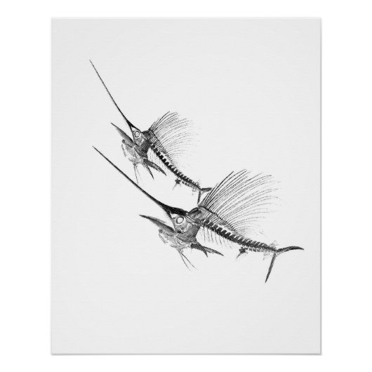 Sailfish Skeleton Fisherman Perfect Poster (Voorkant)