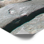 Sailing Barnegat Inlet Poster (Hoek)