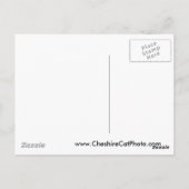 Sailing San Diego California Producten Briefkaart (Achterkant)