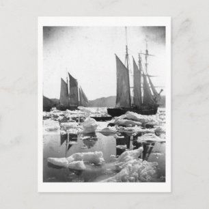 Sailing Ships in een ijskveld - Foto van 1869 Briefkaart