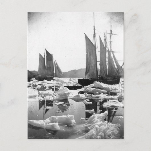 Sailing Ships in een ijskveld - Foto van 1869 Briefkaart (Voorkant)