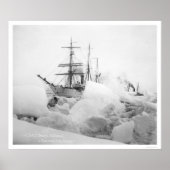 Sailing Ships Nome, Alaska 1904 Poster (Voorkant)