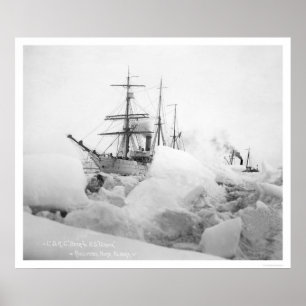 Sailing Ships Nome, Alaska 1904 Poster