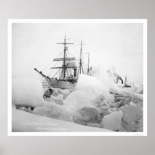 Sailing Ships Nome, Alaska 1904 Poster (Voorkant)