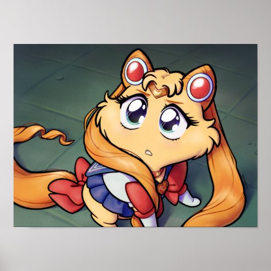 Sailor Cat Poster (Voorkant)