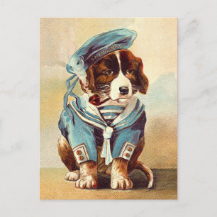  Sailor Dog Briefkaart