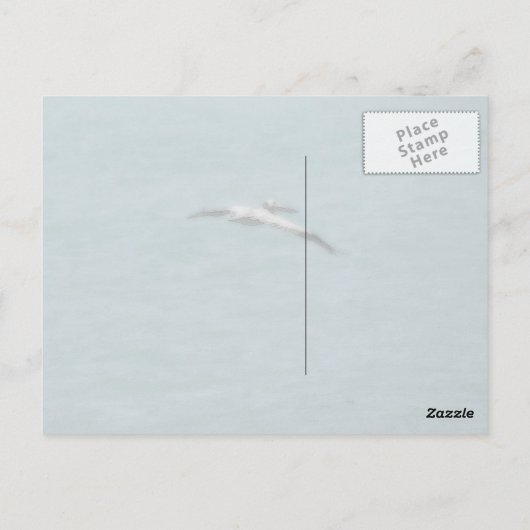 Sailor's Knot Briefkaart (Achterkant)