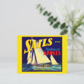 Sails Northwest Apples etiket uit de jaren '30 Briefkaart (Staand voorkant)