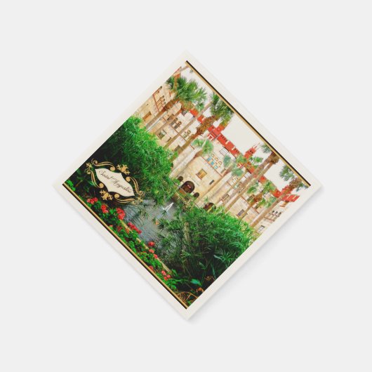 Saint Augustine Florida Lightner Museum & Gardens Servet (Hoek)