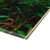 Saint Augustine Florida Lightner Museum & Gardens Snijplank (Hoek)