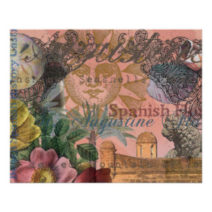 saint - augustine florida trekt antiek kunst poster