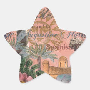 saint - augustine florida trekt antiek kunst ster sticker