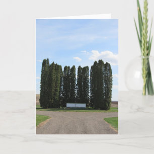 “Saint Augustine Landschap” Sympathiekaart #2 Kaart