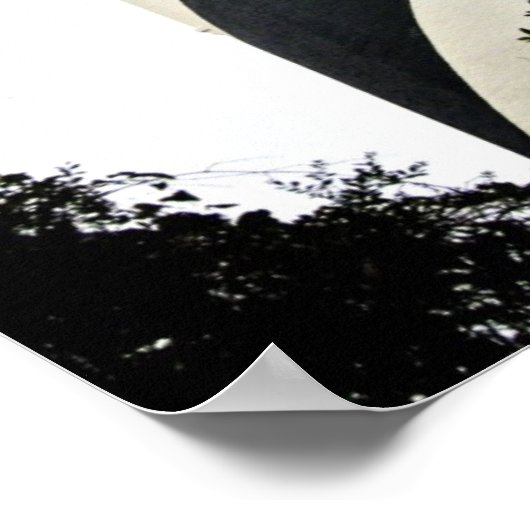 Saint Augustine Lighthouse Poster (Hoek)