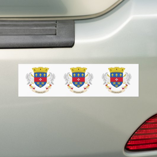 Saint Barthélemy-vlag Bumpersticker (Op auto)
