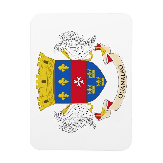 Saint Barthélemy-vlag Magneet (Verticaal)