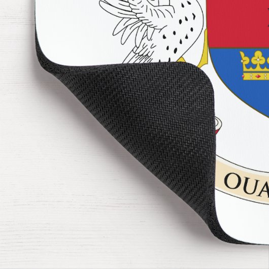 Saint Barthélemy-vlag Muismat (Hoek)