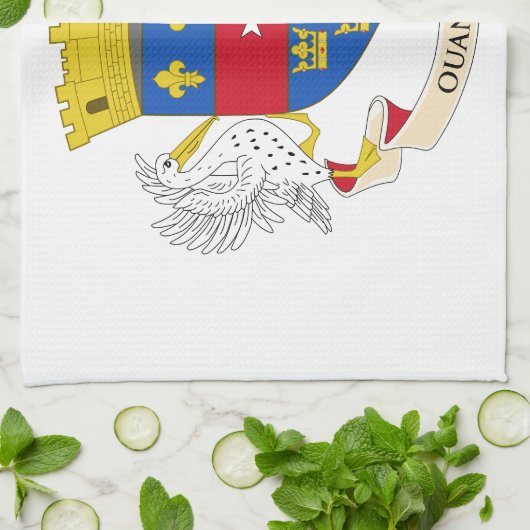 Saint Barthélemy-vlag Theedoek (Gevouwen)