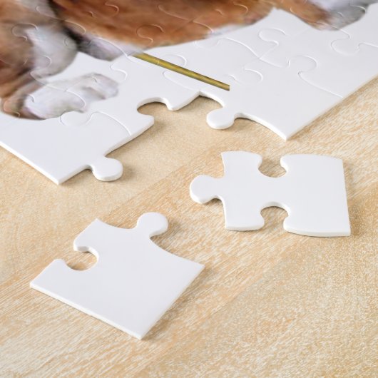 Saint Bernard All American Legpuzzel (Zijkant)