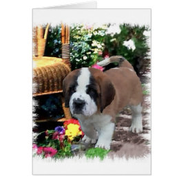 Saint Bernard Art Gifts