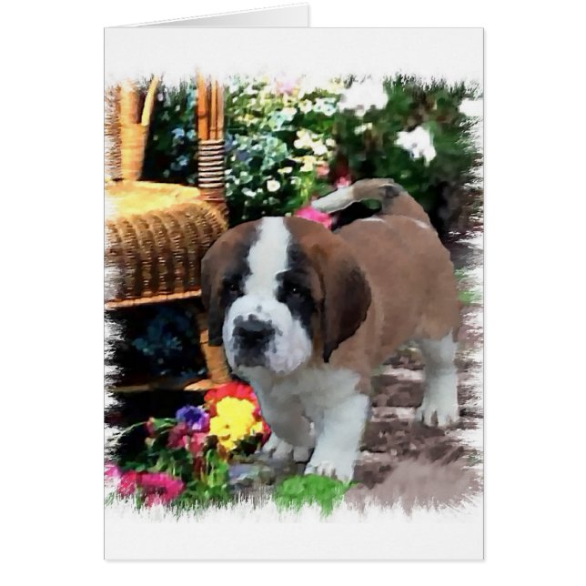 Saint Bernard Art Gifts (Voorkant)