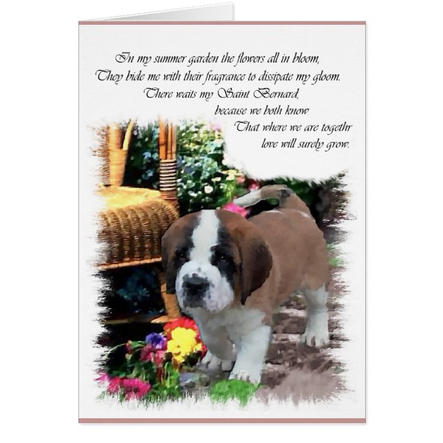 Saint Bernard Art Gifts (Voorkant)