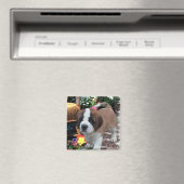 Saint Bernard Art Gifts Magneet (Insitu (Vaatwasser))
