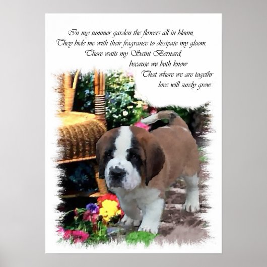 Saint Bernard Art Gifts Poster (Voorkant)
