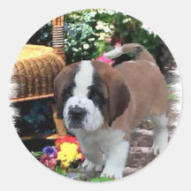 Saint Bernard Art Gifts