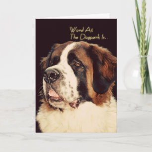 Saint Bernard Birthday Card Kaart